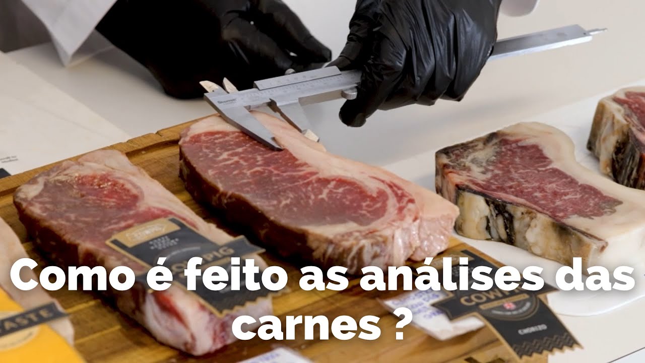 Como é feita as análises e pesquisas com a Carne Cowpig